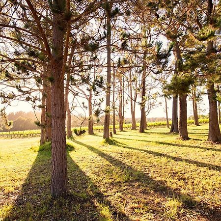 Ruse Estate Retreat Margaret River Rosa Glen Exteriér fotografie