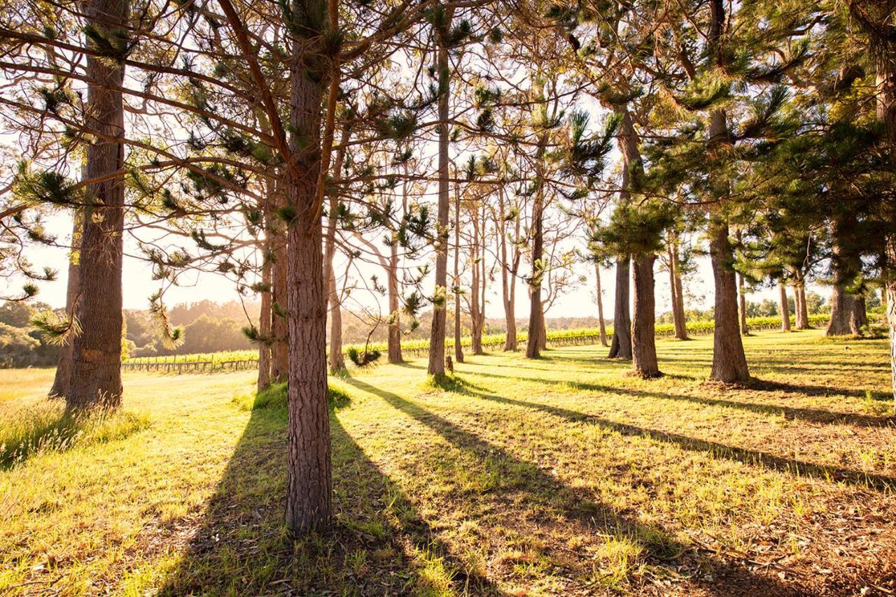 Ruse Estate Retreat Margaret River Rosa Glen Exteriér fotografie