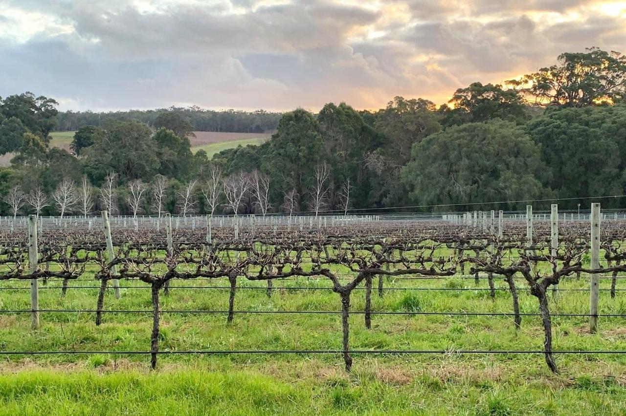 Ruse Estate Retreat Margaret River Rosa Glen Exteriér fotografie